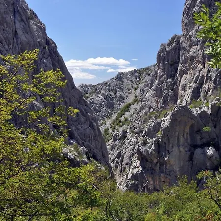 In Starigrad-paklenica With Terrace, Air Conditioning, Wifi 627-3