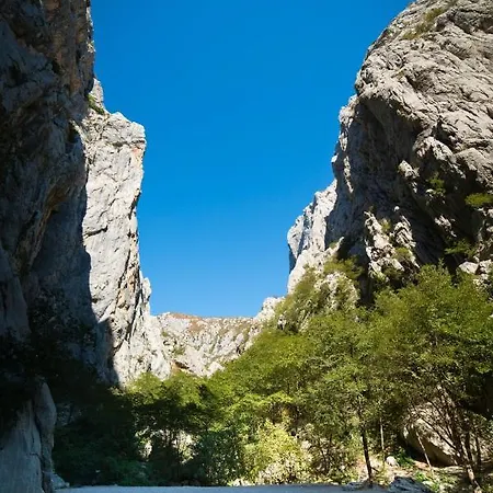 In Starigrad-paklenica With Terrace, Air Conditioning, Wifi 627-3 Apartment